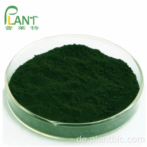 Natürliches Pigment Natrium-Kupfer-Chlorophyllin-Pulver 95%